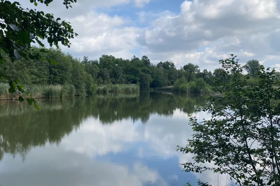 Der Hainbergsee in Meuselwitz. / © Silke Konzag