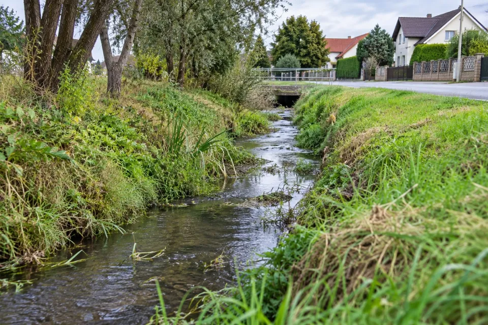 Symbolfoto: KI-assistiert